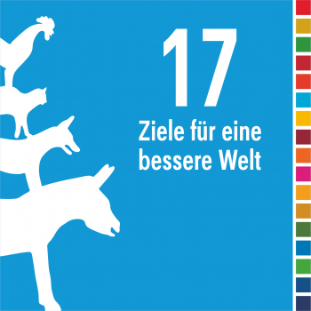 Piktogramm: Auf hellblauem Untergrund links weiß die Bremer Stadtmusikanten. Rechts daneben der Text  "17 Ziele für eine bessere Welt" und ganz rechts eine schmale Spalte mit 17 Quadraten in den Farben der SDGs.